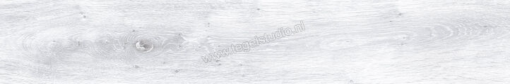 Keraben Naturwood Ice 20x120 cm Vloertegel / Wandtegel Mat Gestructureerd P0002476 | 201484