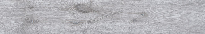 Keraben Naturwood Smoke 20x120 cm Vloertegel / Wandtegel antislip Mat Gestructureerd P0002478 | 201571