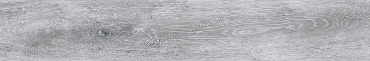 Keraben Naturwood Smoke 20x120 cm Vloertegel / Wandtegel Mat Gestructureerd P0002473 | 201589