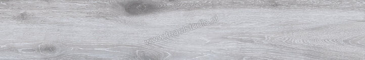 Keraben Naturwood Smoke 20x120 cm Vloertegel / Wandtegel Mat Gestructureerd P0002473 | 201592