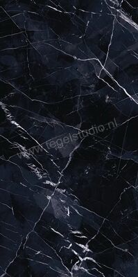 Emilceramica Tele Di Marmo Revolution Calacatta Black 60x120 cm Vloertegel / Wandtegel Glanzend Vlak Lappato EHAA | 206679