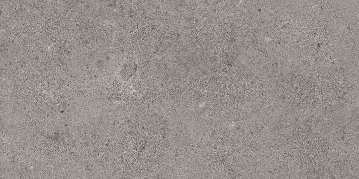 Sant Agostino Highstone Grey 30x60 cm Vloertegel / Wandtegel Mat Vlak Naturale CSAHSGY130 | 209370
