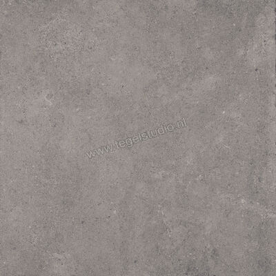 Sant Agostino Highstone Grey 120x120 cm Vloertegel / Wandtegel Mat Vlak Naturale CSAH12GY12 | 209382
