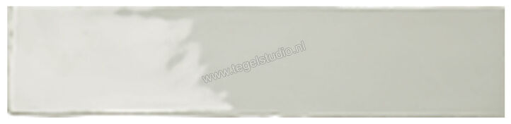 Topcollection Harmony Haze Glossy 7.5x30 cm Decor Glanzend Vlak HA75300HAGL | 215331