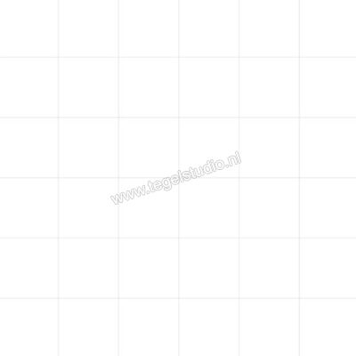 Topcollection Matrix White Satin 10x10 cm Vloertegel / Wandtegel Mat Vlak MA100100WHS | 215442