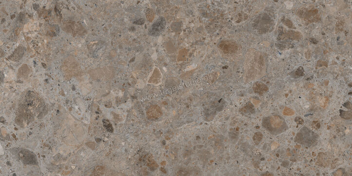  Villeroy & Boch Code 2 Ceppo Dark 60x120 cm Vloertegel / Wandtegel Mat Gestructureerd VilbostonePlus 2730 SN72 0 | 216841
