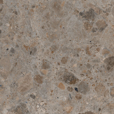  Villeroy & Boch Code 2 Ceppo Dark 60x60 cm Vloertegel / Wandtegel Mat Gestructureerd VilbostonePlus 2660 SN72 0 | 216847