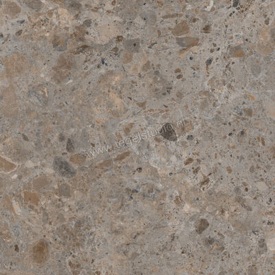  Villeroy & Boch Code 2 Ceppo Dark 80x80 cm Vloertegel / Wandtegel Mat Gestructureerd VilbostonePlus 2810 SN72 0 | 216853