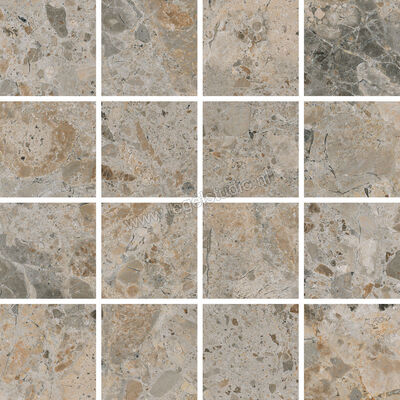  Villeroy & Boch Code 2 Ceppo Light 30x30 cm Mozaiek 7,5x7,5 Mat Gestructureerd VilbostonePlus 2013 SN71 8 | 216865