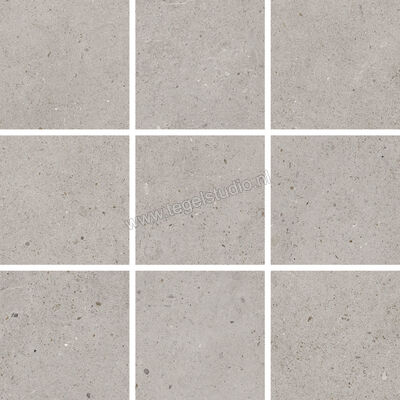  Villeroy & Boch Solid Tones Cool Concrete 30x30 cm Mozaiek 10x10 Mat Vlak VilbostonePlus 2012 PC60 8 | 217132