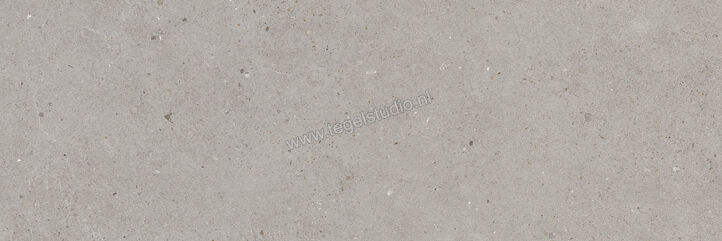  Villeroy & Boch Solid Tones Cool Concrete 20x60 cm Vloertegel / Wandtegel Mat Vlak VilbostonePlus 2621 PC60 0 | 217138