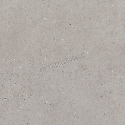  Villeroy & Boch Solid Tones Cool Concrete 30x30 cm Vloertegel / Wandtegel Mat Vlak VilbostonePlus 2578 PC60 0 | 217144