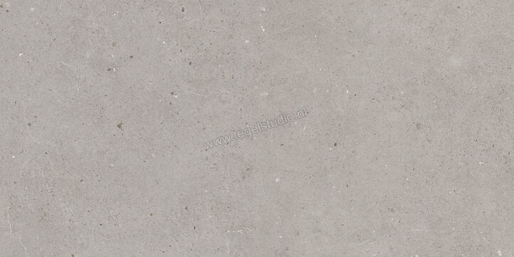  Villeroy & Boch Solid Tones Cool Concrete 30x60 cm Vloertegel / Wandtegel Mat Vlak VilbostonePlus 2521 PC60 0 | 217147