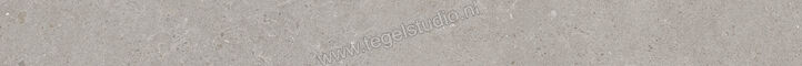  Villeroy & Boch Solid Tones Cool Concrete 5x60 cm Plint Mat Vlak VilbostonePlus 2854 PC60 0 | 217153