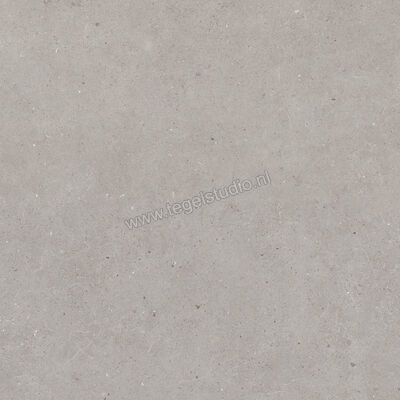  Villeroy & Boch Solid Tones Cool Concrete 60x60 cm Vloertegel / Wandtegel Mat Vlak VilbostonePlus 2310 PC60 0 | 217162