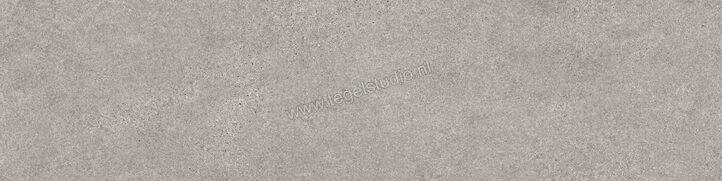  Villeroy & Boch Solid Tones Cool Stone 30x120 cm Vloertegel / Wandtegel Mat Gestructureerd VilbostonePlus 2350 PS60 0 | 217174