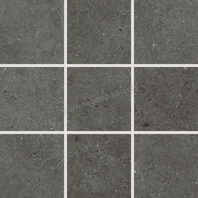  Villeroy & Boch Solid Tones Dark Concrete 30x30 cm Mozaiek 10x10 Mat Vlak VilbostonePlus 2012 PC62 8 | 217201