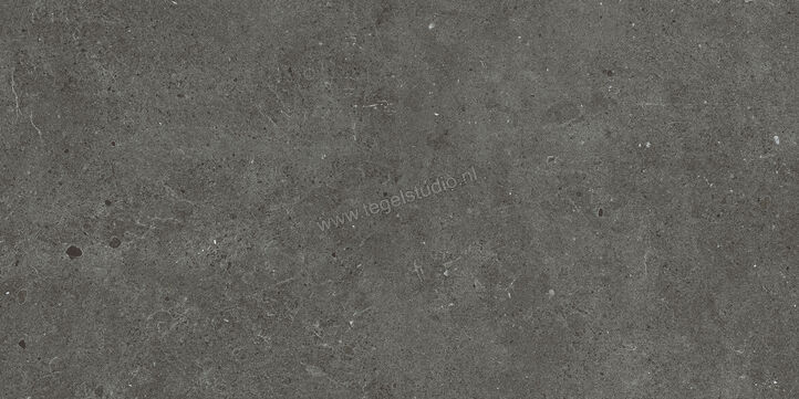  Villeroy & Boch Solid Tones Dark Concrete 30x60 cm Vloertegel / Wandtegel Mat Vlak VilbostonePlus 2521 PC62 0 | 217216