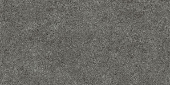  Villeroy & Boch Solid Tones Dark Stone 60x120 cm Vloertegel / Wandtegel Mat Gestructureerd VilbostonePlus 2737 PS62 0 | 217303
