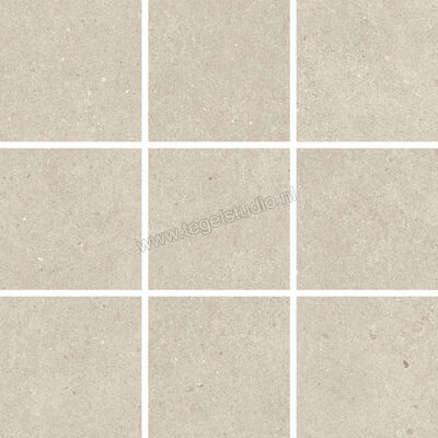  Villeroy & Boch Solid Tones Light Concrete 30x30 cm Mozaiek 10x10 Mat Vlak VilbostonePlus 2012 PC10 8 | 217315