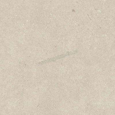  Villeroy & Boch Solid Tones Light Concrete 30x30 cm Vloertegel / Wandtegel Mat Vlak VilbostonePlus 2578 PC10 0 | 217327