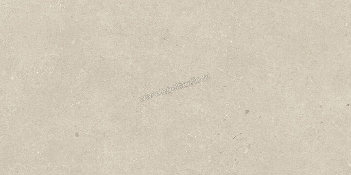  Villeroy & Boch Solid Tones Light Concrete 30x60 cm Vloertegel / Wandtegel Mat Vlak VilbostonePlus 2685 PC10 0 | 217333