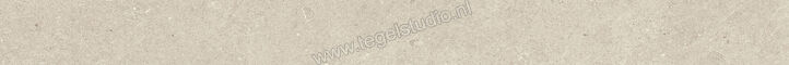  Villeroy & Boch Solid Tones Light Concrete 5x60 cm Plint Mat Vlak VilbostonePlus 2854 PC10 0 | 217336