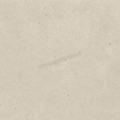  Villeroy & Boch Solid Tones Light Concrete 60x60 cm Vloertegel / Wandtegel Mat Vlak VilbostonePlus 2310 PC10 0 | 217363