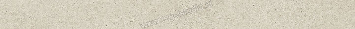  Villeroy & Boch Solid Tones Light Stone 5x60 cm Plint Mat Gestructureerd VilbostonePlus 2854 PS10 0 | 217408