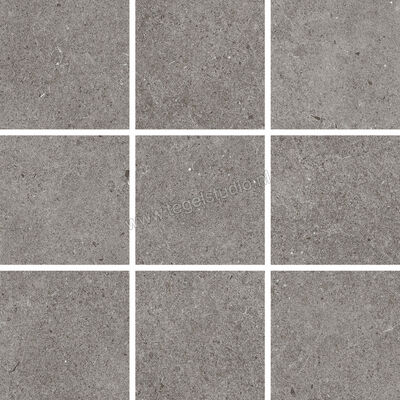  Villeroy & Boch Solid Tones Pure Concrete 30x30 cm Mozaiek 10x10 Mat Vlak VilbostonePlus 2012 PC61 8 | 217426