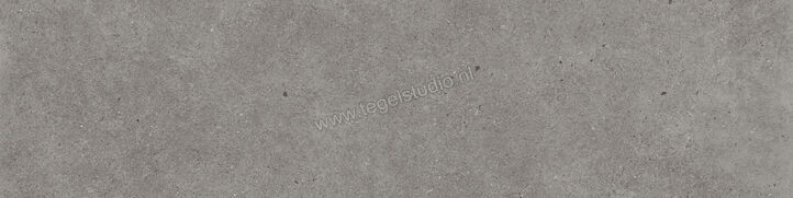  Villeroy & Boch Solid Tones Pure Concrete 30x120 cm Vloertegel / Wandtegel Mat Vlak VilbostonePlus 2350 PC61 0 | 217444