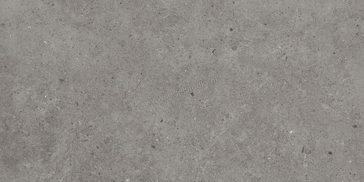  Villeroy & Boch Solid Tones Pure Concrete 30x60 cm Vloertegel / Wandtegel Mat Vlak VilbostonePlus 2521 PC61 0 | 217456