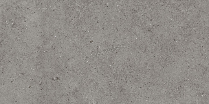  Villeroy & Boch Solid Tones Pure Concrete 30x60 cm Vloertegel / Wandtegel Mat Vlak VilbostonePlus 2685 PC61 0 | 217462