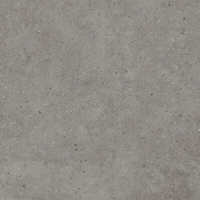  Villeroy & Boch Solid Tones Pure Concrete 60x60 cm Vloertegel / Wandtegel Mat Vlak VilbostonePlus 2310 PC61 0 | 217477