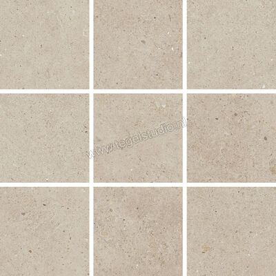  Villeroy & Boch Solid Tones Warm Concrete 30x30 cm Mozaiek 10x10 Mat Vlak VilbostonePlus 2012 PC70 8 | 217513