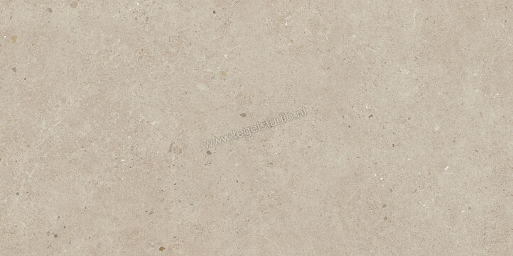  Villeroy & Boch Solid Tones Warm Concrete 30x60 cm Vloertegel / Wandtegel Mat Vlak VilbostonePlus 2521 PC70 0 | 217549