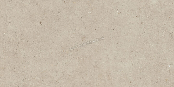  Villeroy & Boch Solid Tones Warm Concrete 30x60 cm Vloertegel / Wandtegel Mat Vlak VilbostonePlus 2685 PC70 0 | 217558