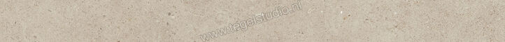  Villeroy & Boch Solid Tones Warm Concrete 5x60 cm Plint Mat Vlak VilbostonePlus 2854 PC70 0 | 217567