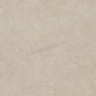  Villeroy & Boch Solid Tones Warm Concrete 60x60 cm Vloertegel / Wandtegel Mat Vlak VilbostonePlus 2310 PC70 0 | 217603