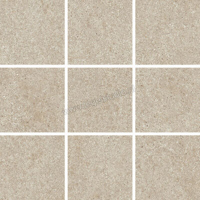  Villeroy & Boch Solid Tones Warm Stone 30x30 cm Mozaiek 10x10 Mat Gestructureerd VilbostonePlus 2012 PS70 8 | 217609