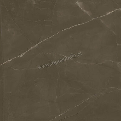 Marazzi Allmarble Pulpis 60x60 cm Vloertegel / Wandtegel Mat Vlak Naturale M3AN | 221571