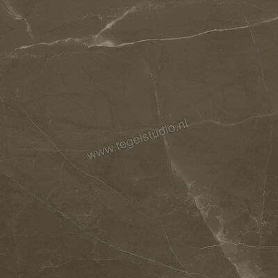 Marazzi Allmarble Pulpis 60x60 cm Vloertegel / Wandtegel Mat Vlak Naturale M3AN | 221574