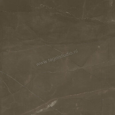 Marazzi Allmarble Pulpis 60x60 cm Vloertegel / Wandtegel Mat Vlak Naturale M3AN | 221577