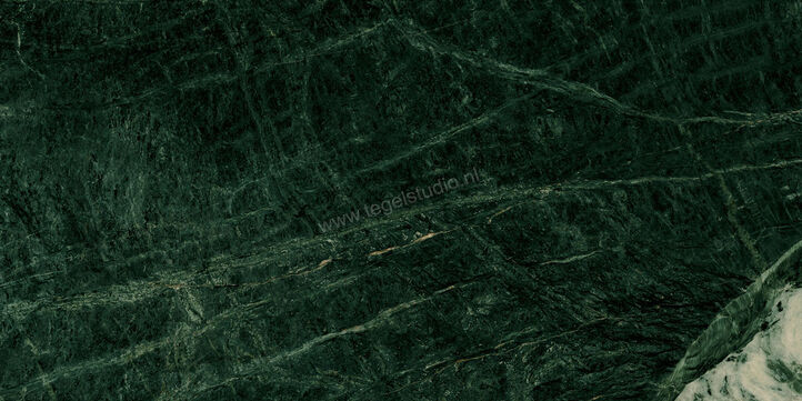 Marazzi Allmarble Verde Aver Lux 30x60 cm Vloertegel / Wandtegel Glanzend Vlak Lux M9MT | 223725