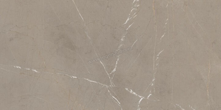 Marazzi Allmarble Tafu 60x120 cm Vloertegel / Wandtegel Mat Vlak Naturale MELF | 224568