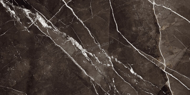 Marazzi Allmarble Calacatta Black Lux 60x120 cm Vloertegel / Wandtegel Glanzend Vlak Lux MELQ | 224745