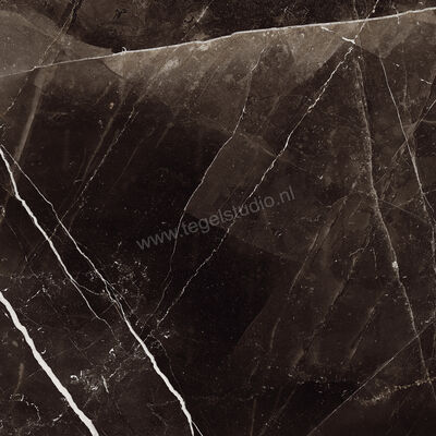 Marazzi Allmarble Calacatta Black 60x60 cm Vloertegel / Wandtegel Mat Vlak Naturale MELW | 224820