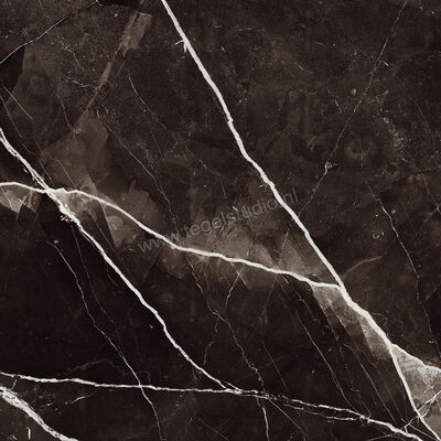 Marazzi Allmarble Calacatta Black 60x60 cm Vloertegel / Wandtegel Mat Vlak Naturale MELW | 224838