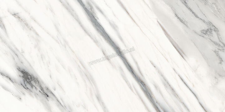 Marazzi Allmarble Bianco Arni Lux 60x120 cm Vloertegel / Wandtegel Glanzend Vlak Lux MF6S | 225189