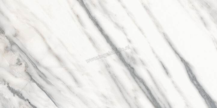 Marazzi Allmarble Bianco Arni 60x120 cm Vloertegel / Wandtegel Mat Vlak Naturale MF6L | 225201